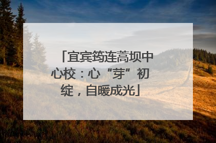 宜宾筠连蒿坝中心校：心“芽”初绽，自暖成光